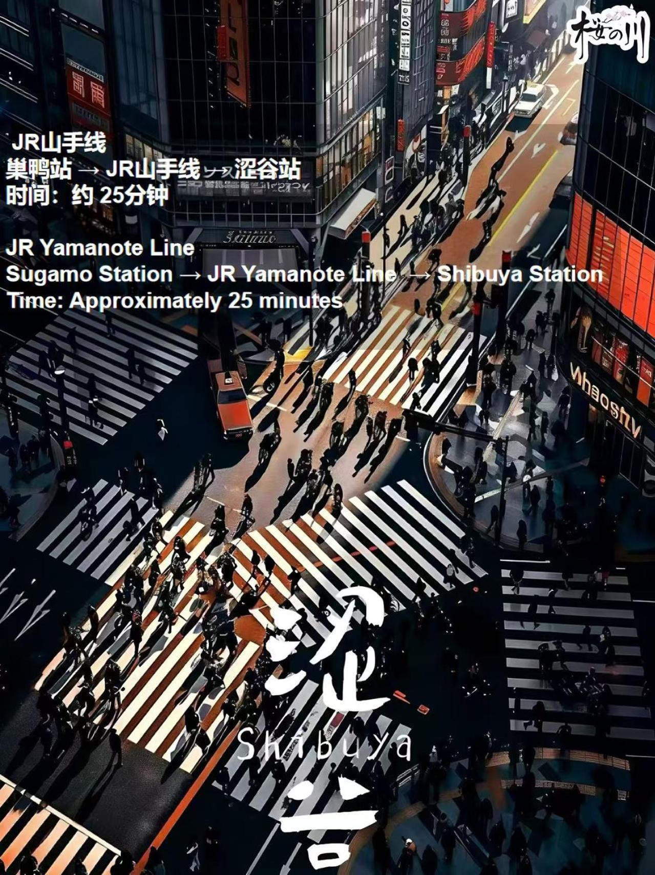 桜の川3 Sugamo Diamond Mansion 105 Direct To Ikebukuro Yamanote Line 5Mins Apartment Tokyo Exterior photo
